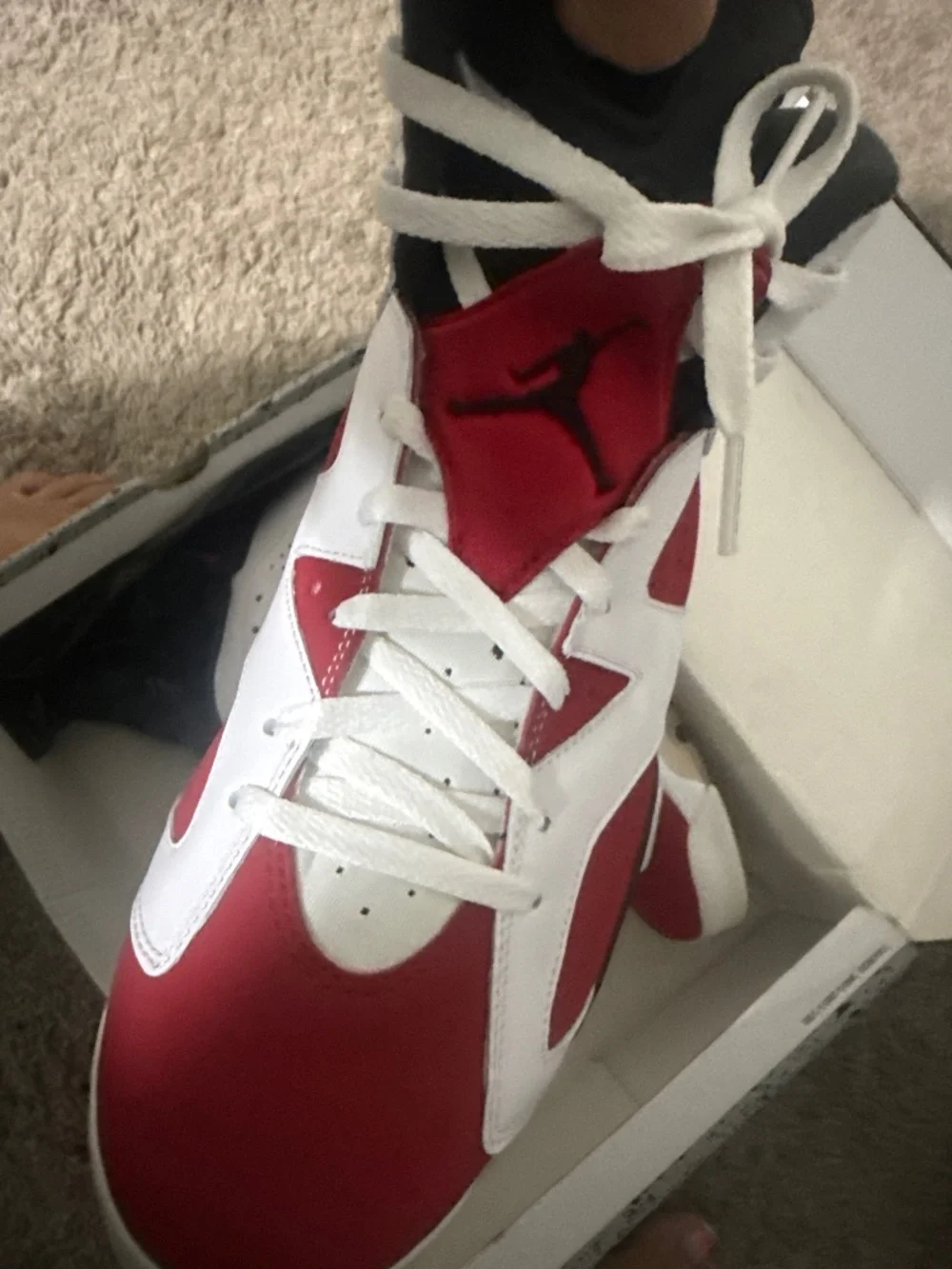 Jordan 6 retro